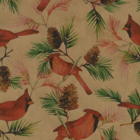 Pinecones and Cardinals